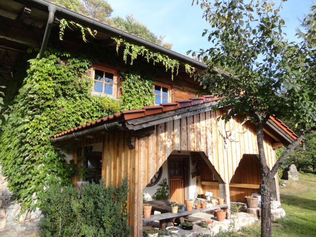 Jaegerhaeusl Appartement